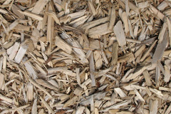 biomass boilers Trevenning