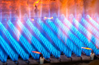 Trevenning gas fired boilers